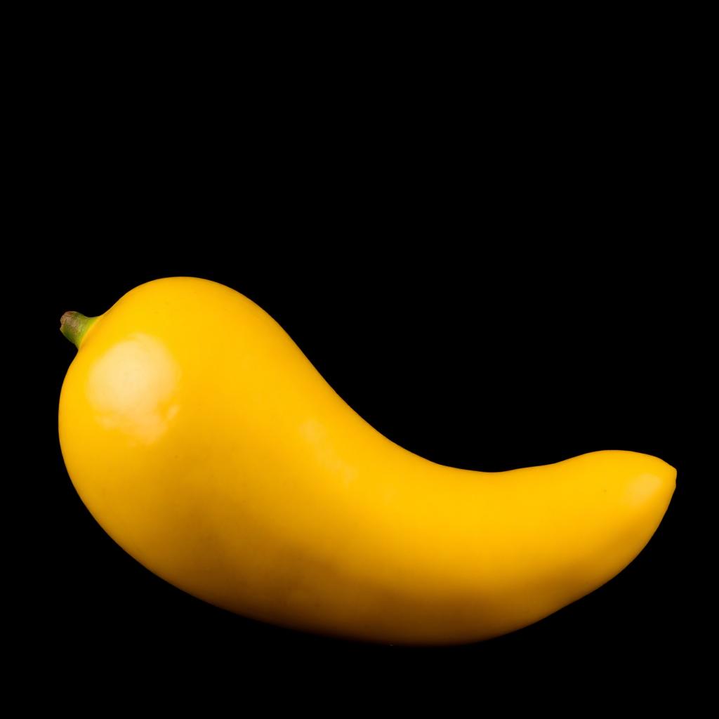 منجو باكستاني