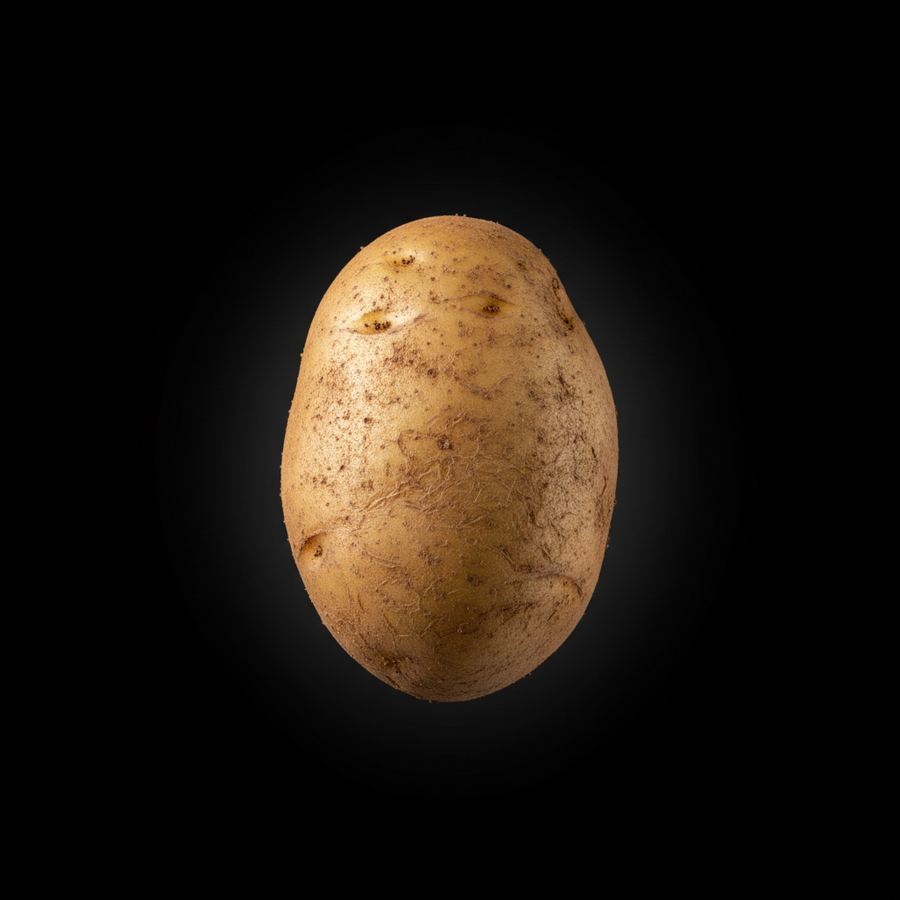 بطاطس
